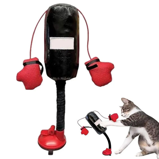 Unleash the Fun! 🐱🥊 New Cat Punching Bag Toy - Perfect for Bored Indoor Cats! 🐾 #CatToys #KittenPlaytime