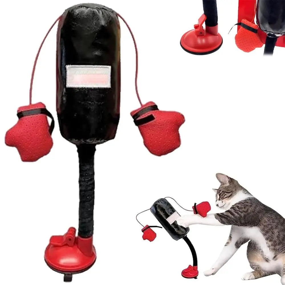Unleash the Fun! 🐱🥊 New Cat Punching Bag Toy - Perfect for Bored Indoor Cats! 🐾 #CatToys #KittenPlaytime